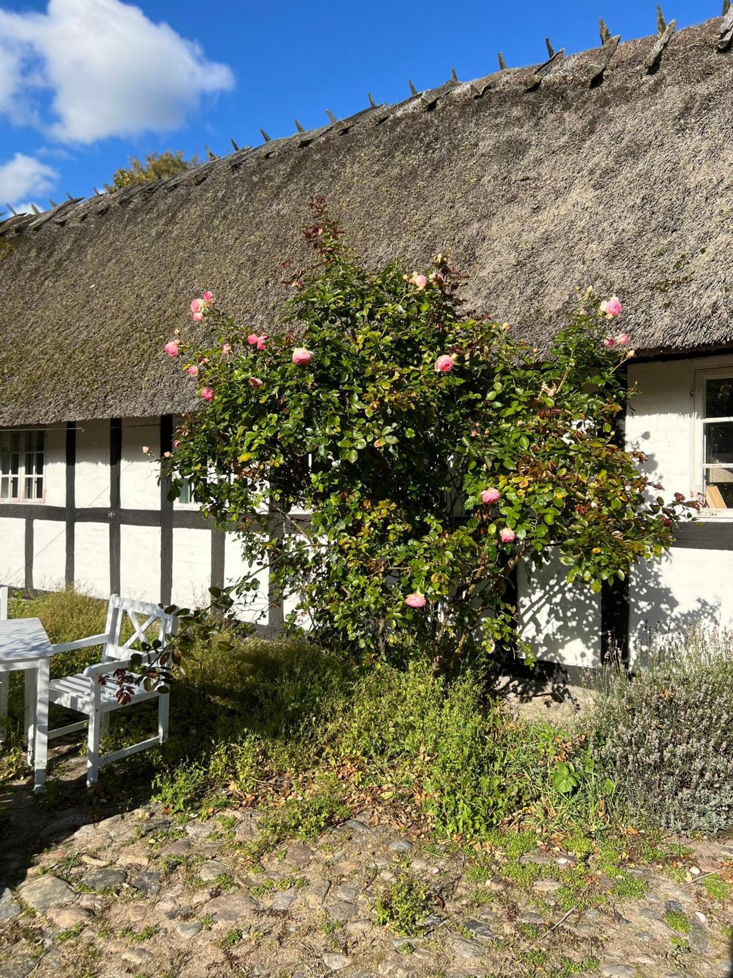 Solbjerggaard Bed & Breakfast ฟาบอร์ก ภายนอก รูปภาพ
